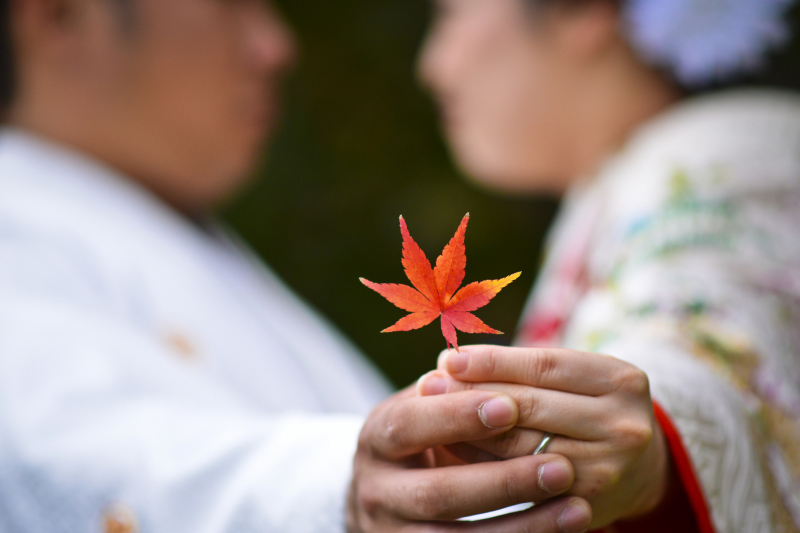 真っ赤な紅葉