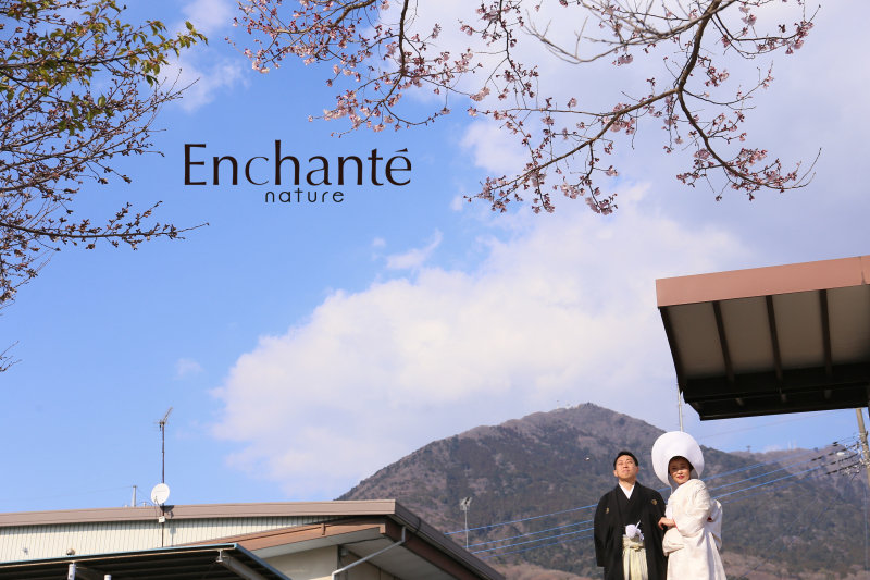筑波山&桜