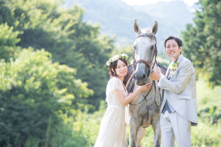 Horse Wedding