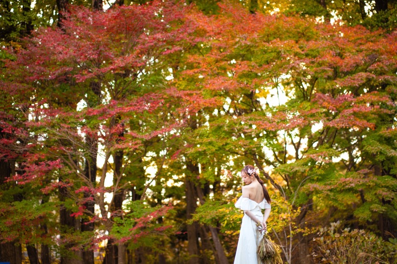 ご新婦様の後ろ姿