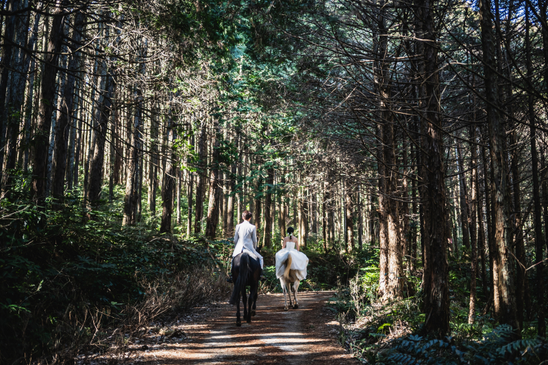 自然光が差し込んだ緑の中で
