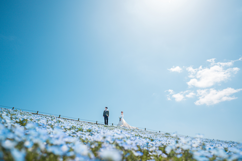 ひたち海浜公園での撮影可能