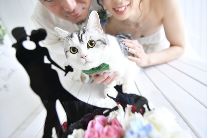 アンシャンテナチュレ つくば店_ペットと一緒に撮影できる