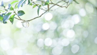 アンシャンテナチュレ つくば店