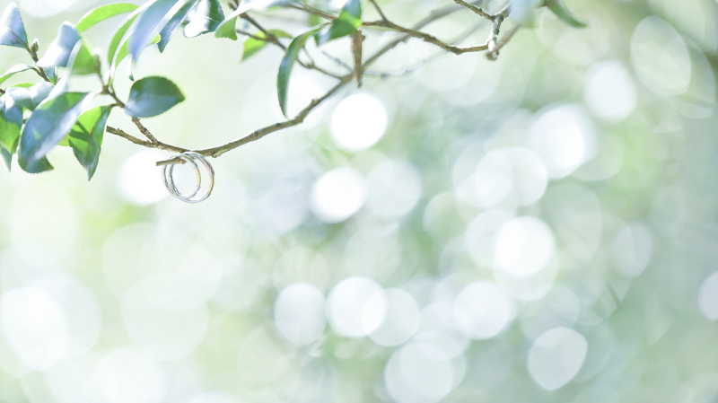 アンシャンテナチュレ つくば店_結婚式当日の撮影をお願いできる