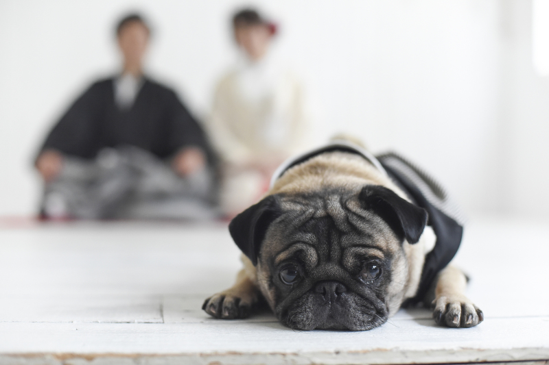 スタッフが全力でサポートします！！