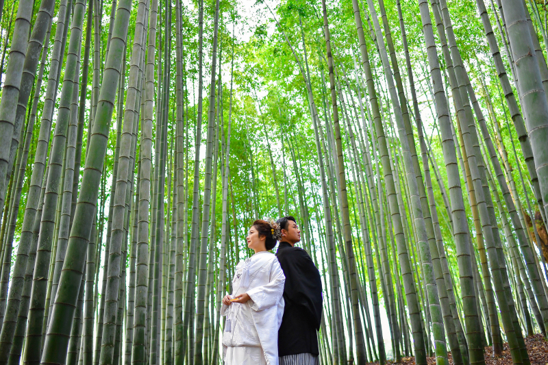 アンシャンテナチュレ つくば店_色打掛・着物が豊富