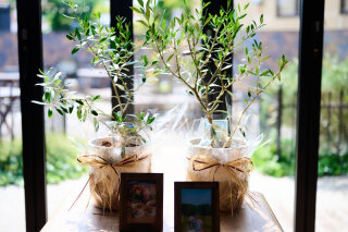 アンシャンテナチュレ つくば店_新郎新婦のルーツ「実家でウェディングフォト」