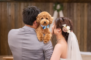 ペットとの撮影