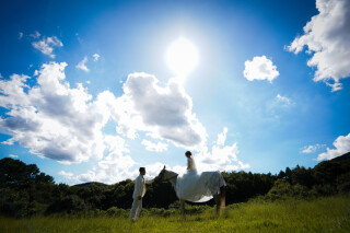 シネマムービー