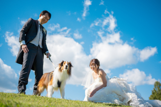 ペットとの撮影OK