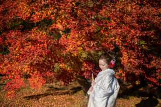 美肌修正20カット