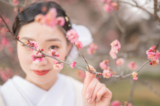 アルバム10ページ