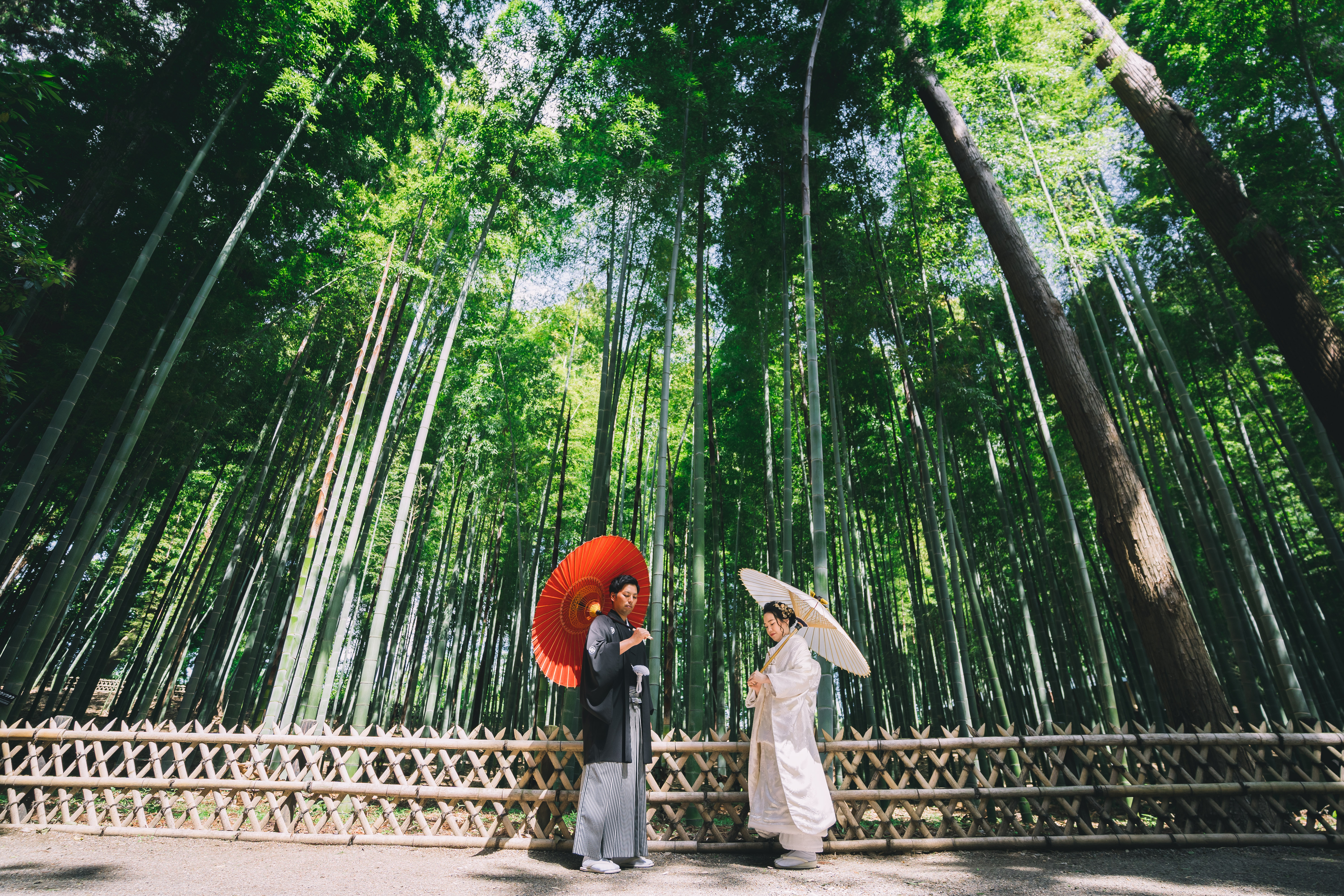 20以上ある撮影シーン