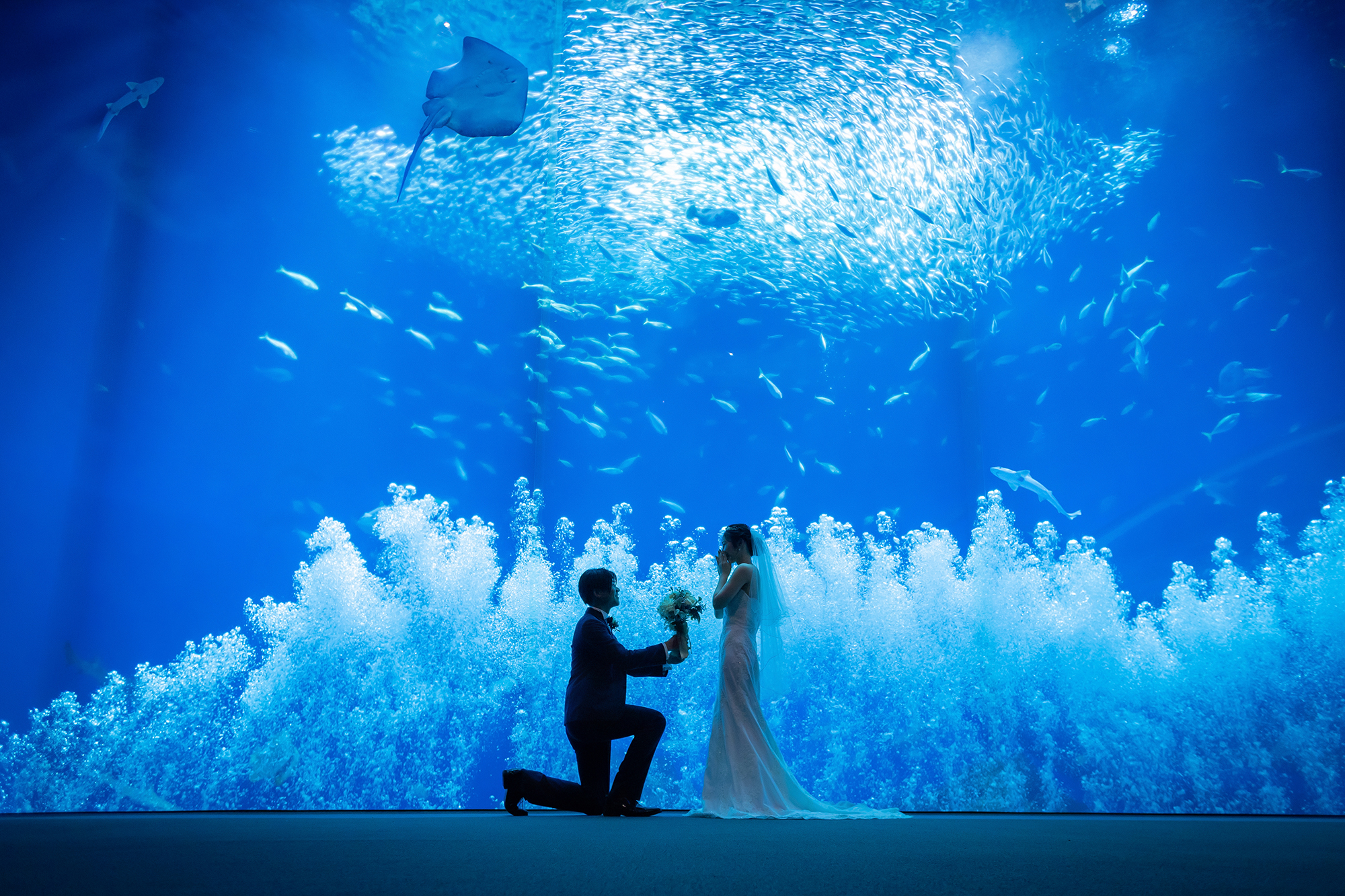 20以上ある撮影シーン