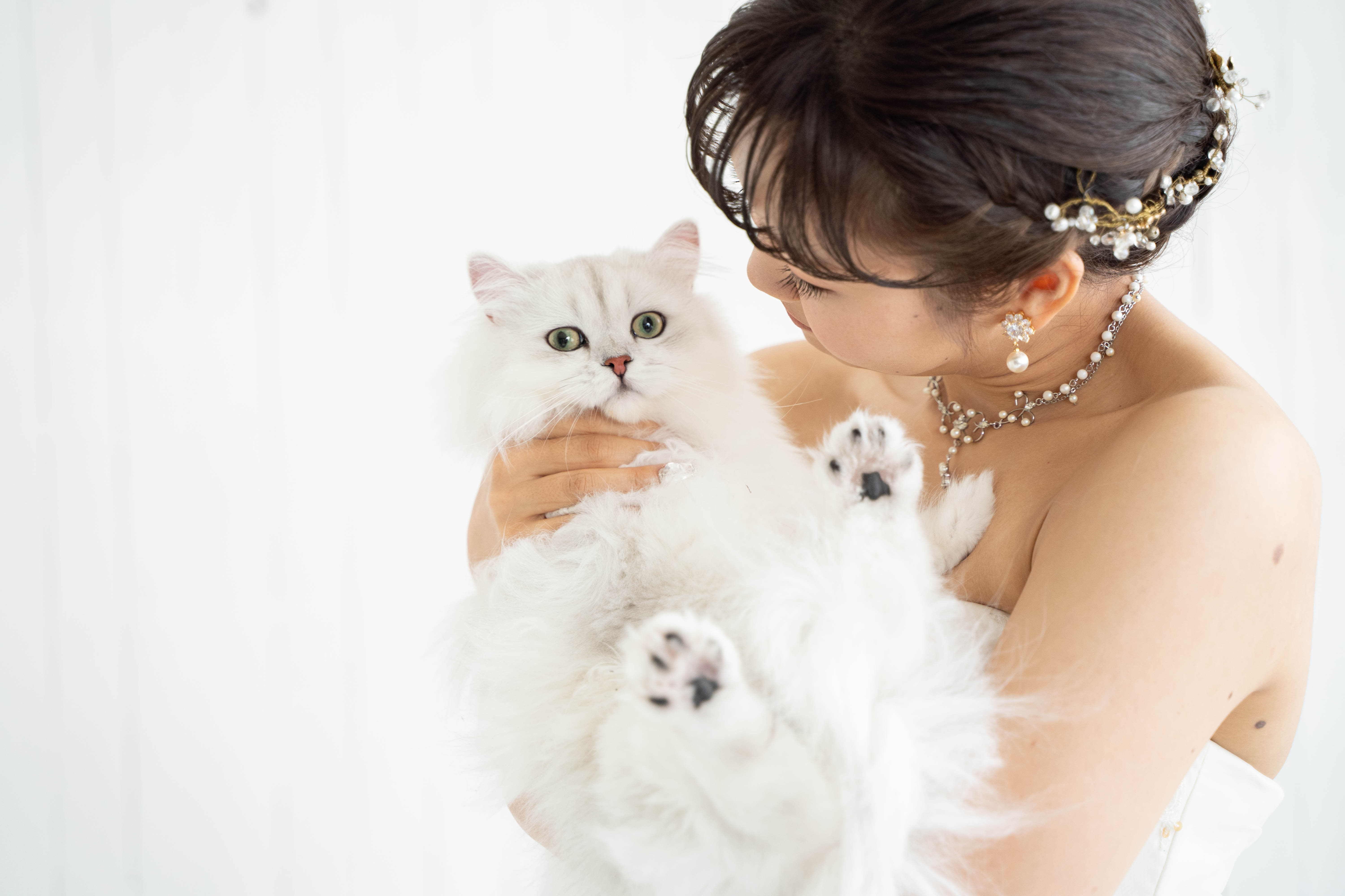 Point1 多彩な撮影シーン