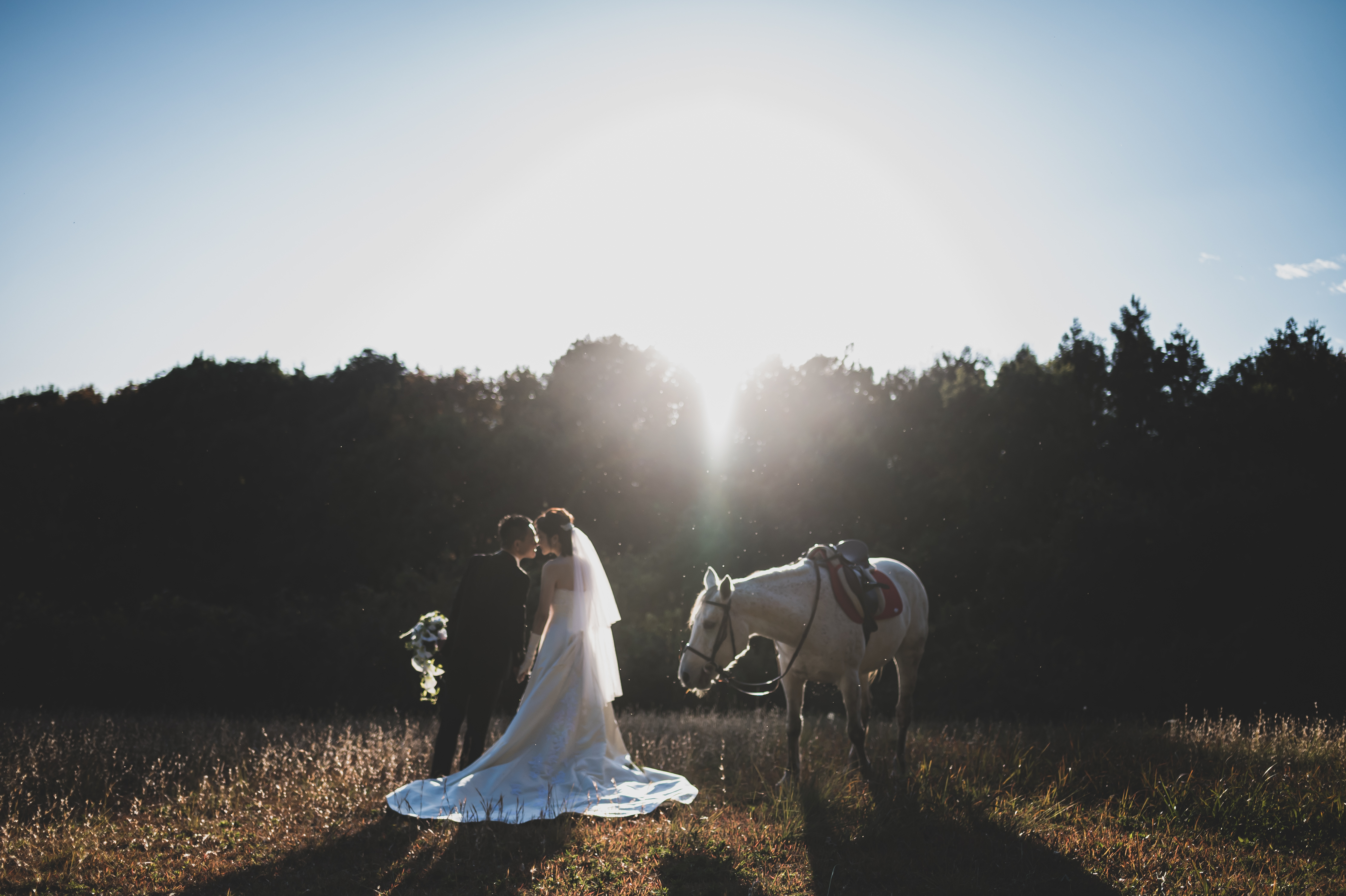 20以上ある撮影シーン