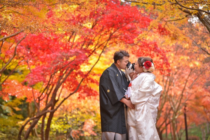 アンシャンテナチュレ つくば店_色打掛・着物が豊富
