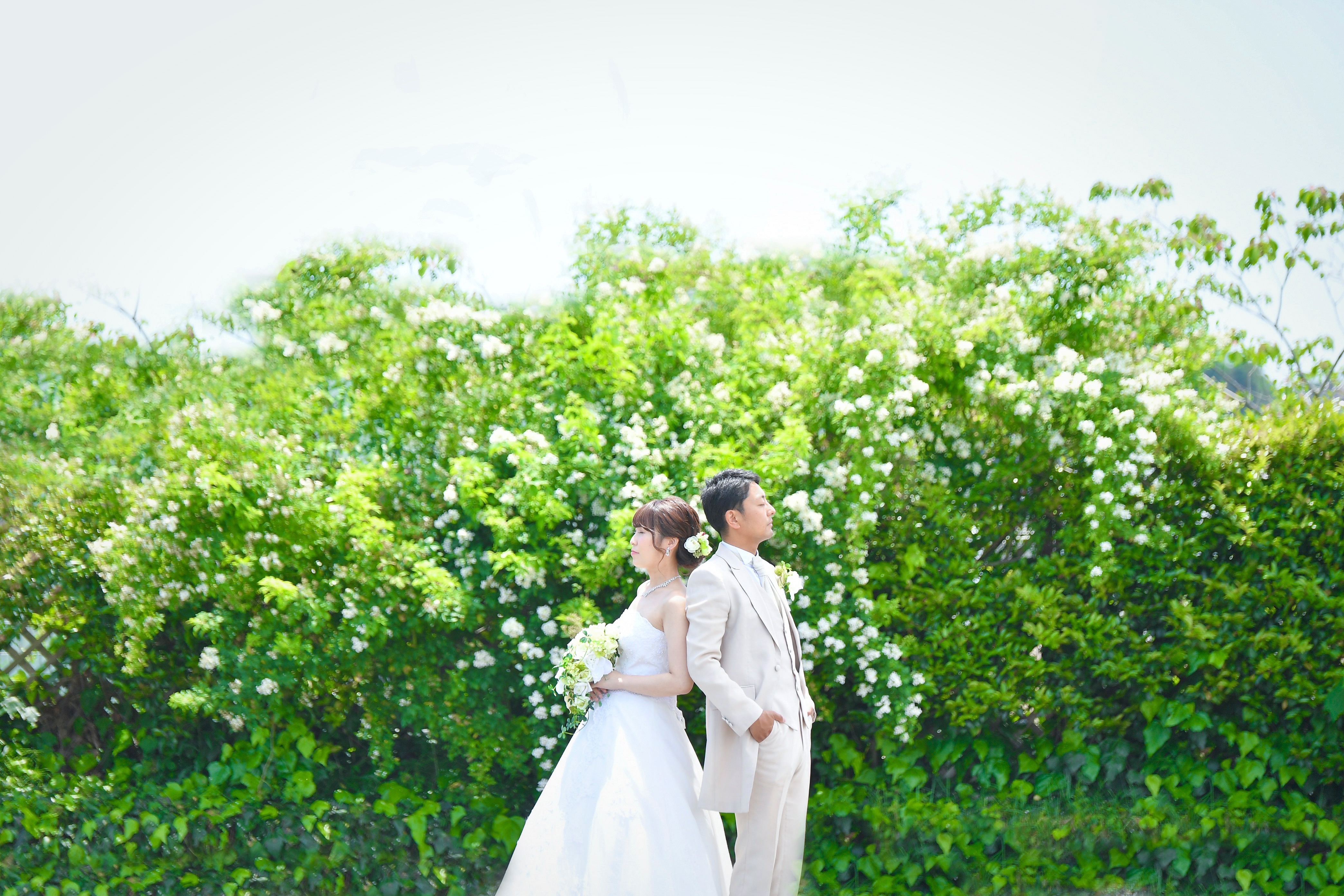 20以上ある撮影シーン