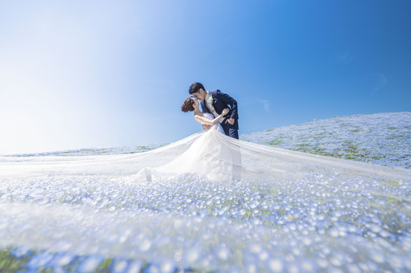 早割!「4月撮影」先行受付スタート!!茨城の世界に誇る花絶景 『青と蒼のネモフィラ』撮影プラン