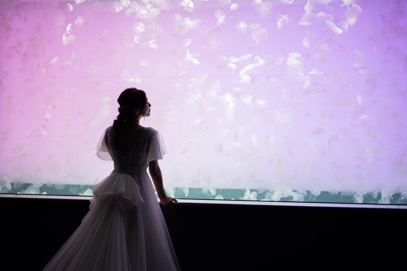 ★photorait限定【水族館ロケーションプラン】憧れの水族館でwedding photo!!大水槽やイルカと写真が撮れる!!