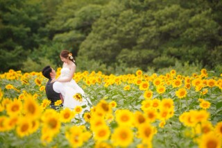 【2026年7月後半〜8月中旬撮影限定】ひまわり畑で楽しむロケーションフォトウェディング