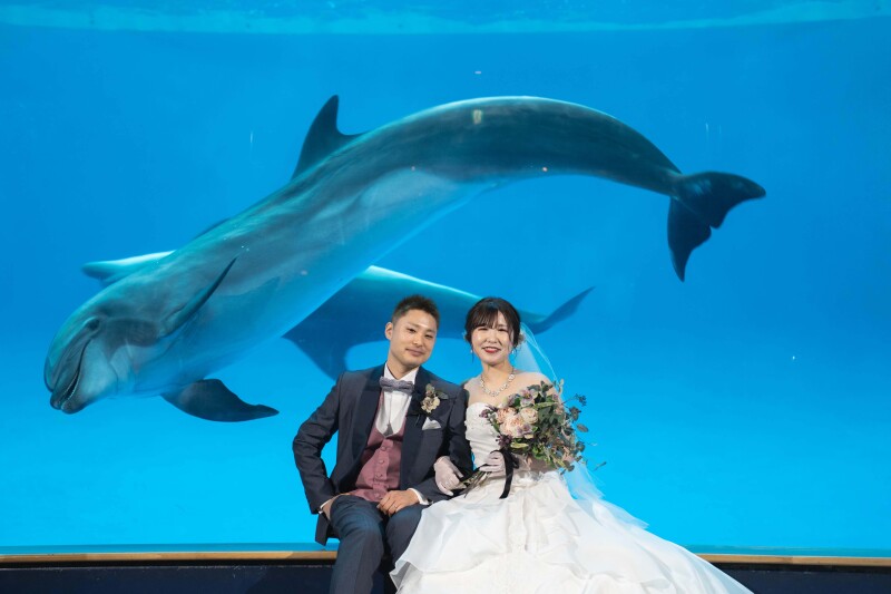 【海のきらめきに包まれる】大洗水族館ロケーションフォトプラン