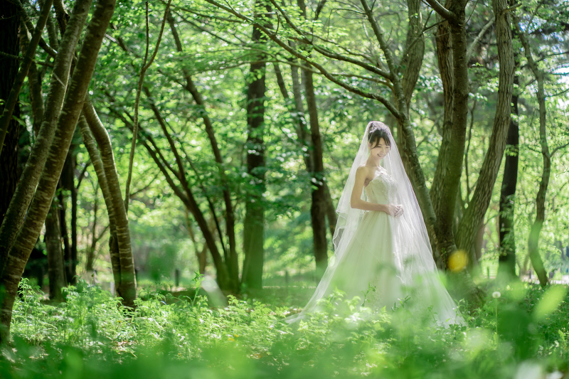 早割!「4月撮影」先行受付スタート!!茨城の世界に誇る花絶景 『青と蒼のネモフィラ』撮影プラン
