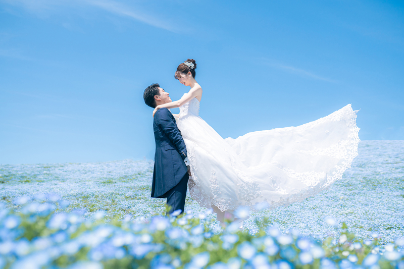 早割!「4月撮影」先行受付スタート!!茨城の世界に誇る花絶景 『青と蒼のネモフィラ』撮影プラン