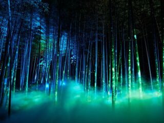 アンシャンテナチュレ つくば店