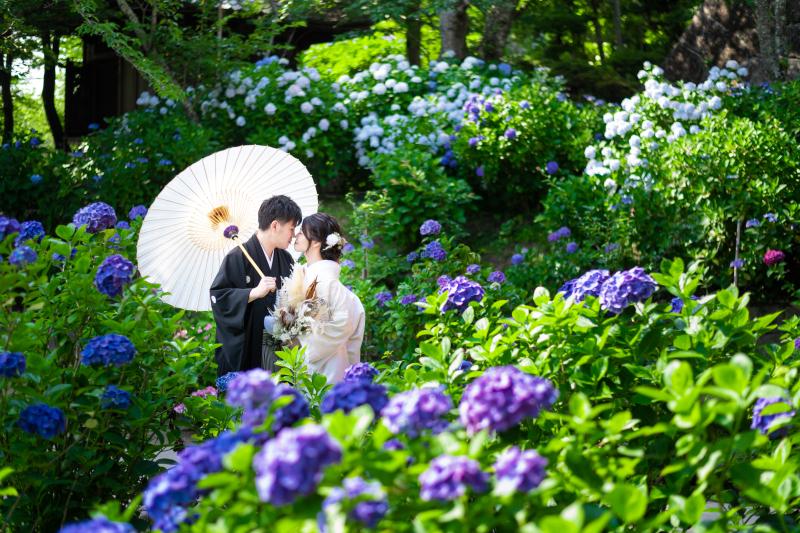 【2026年6月撮影限定】あじさいと巡る＊初夏の和装ロケプラン