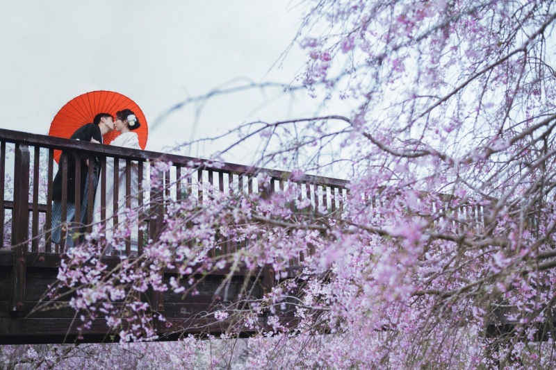 《2026年3~4月》春咲くしあわせフォトウェディングキャンペーン