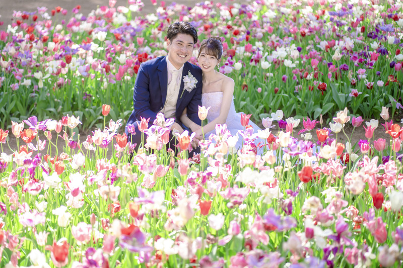 早割!「4月撮影」先行受付スタート!!茨城の世界に誇る花絶景 『青と蒼のネモフィラ』撮影プラン