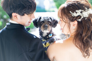 《ご成約プレゼント》