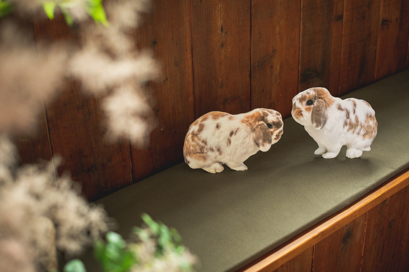 おふたりのご希望を形にした“うさぎパネル”！！