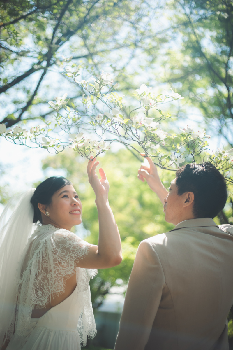 柔らかな光に包まれて