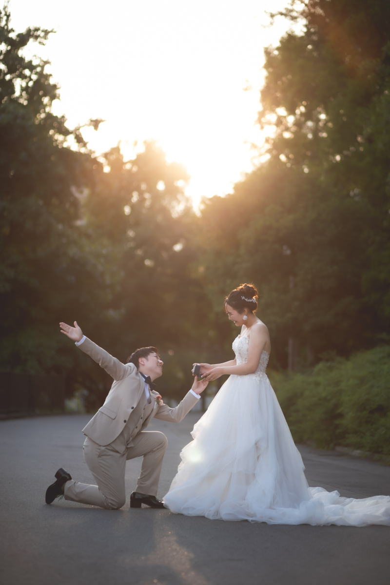 夕暮れ時の逆光でドラマティックに♪