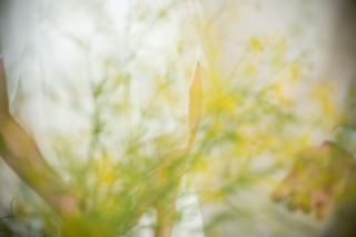 レディース肌着レンタル