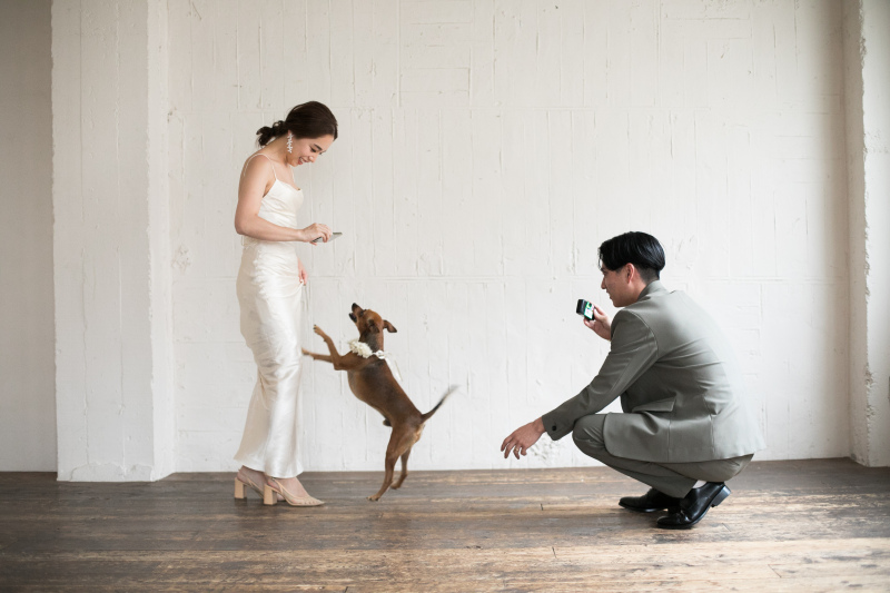 好きなおやつ・お気に入りのおもちゃでご機嫌よく!