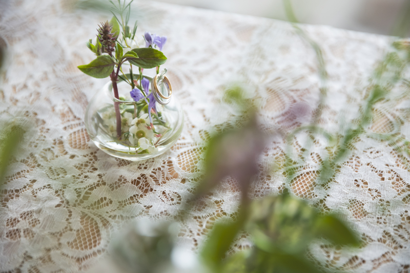 【スタジオ】洋装1点|セレモニー+60分撮影|データ150カット&アルバム// キャンペーン ¥220,000▷¥192,500