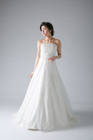 オーガンジーAライン（60853）