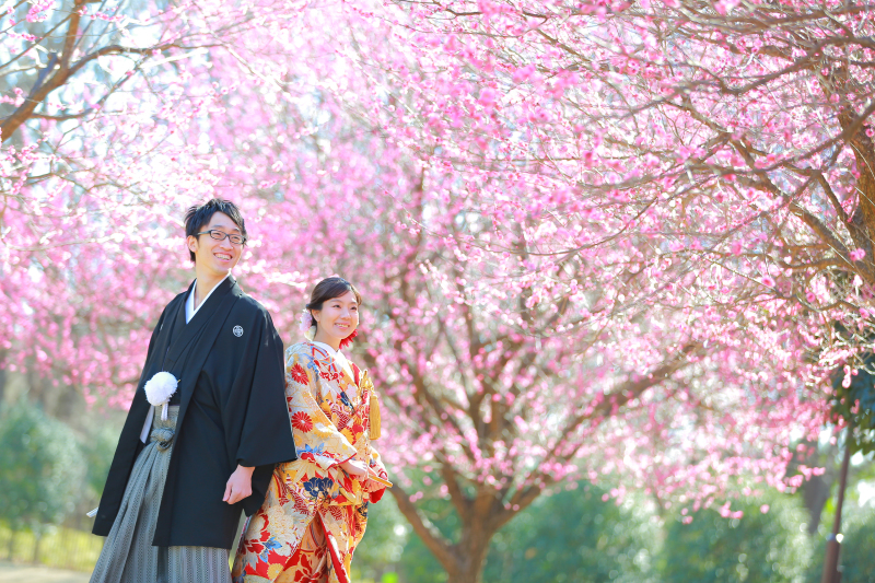 そろそろ梅が綺麗な季節です♪