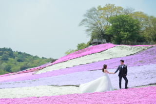 ドイツ村で芝桜と新緑撮影