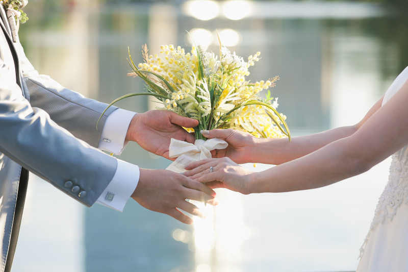 優しく美しい夕陽