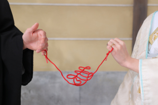 屋内庭園スタジオ