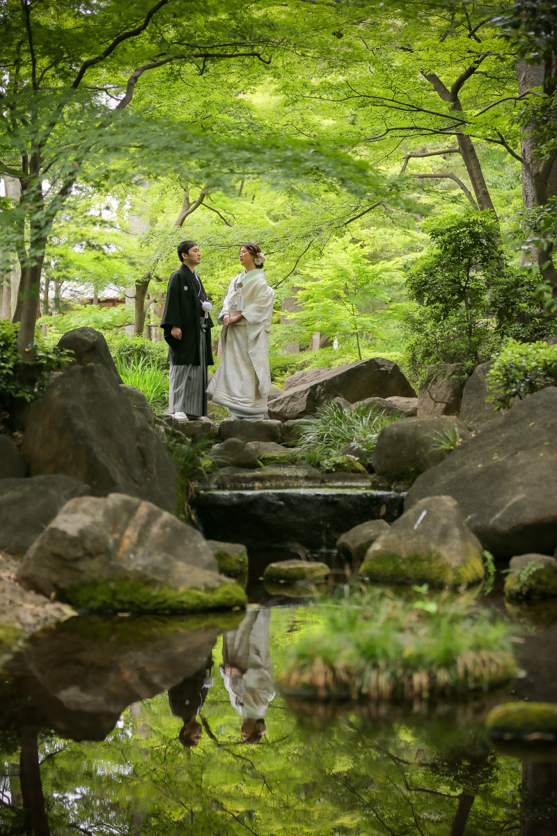 緑のトンネル。