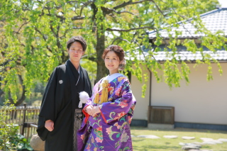 緑始まってます