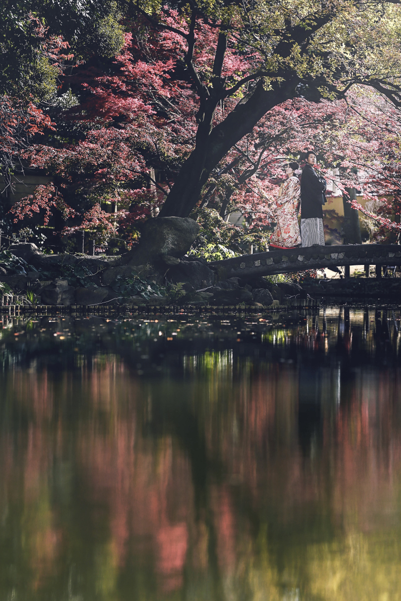 リフレクション☆