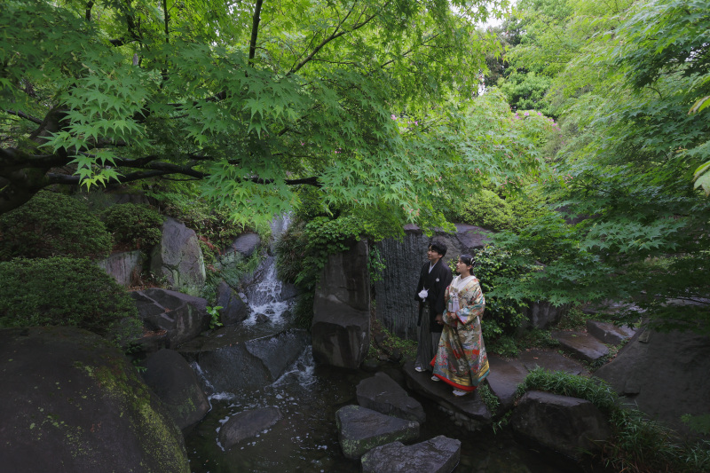自然豊かな庭園