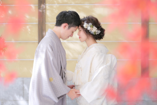 暑い季節、屋内庭園で涼しく快適に撮りませんか♪